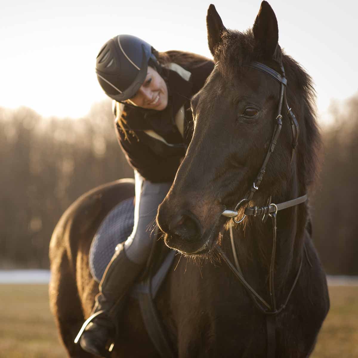 Reiterin spricht mit Pferd